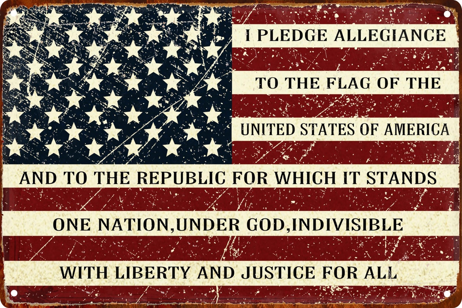 Metal Sign Vintage Tin Sign I Pledge Allegiance to The Flag of The United Sta…