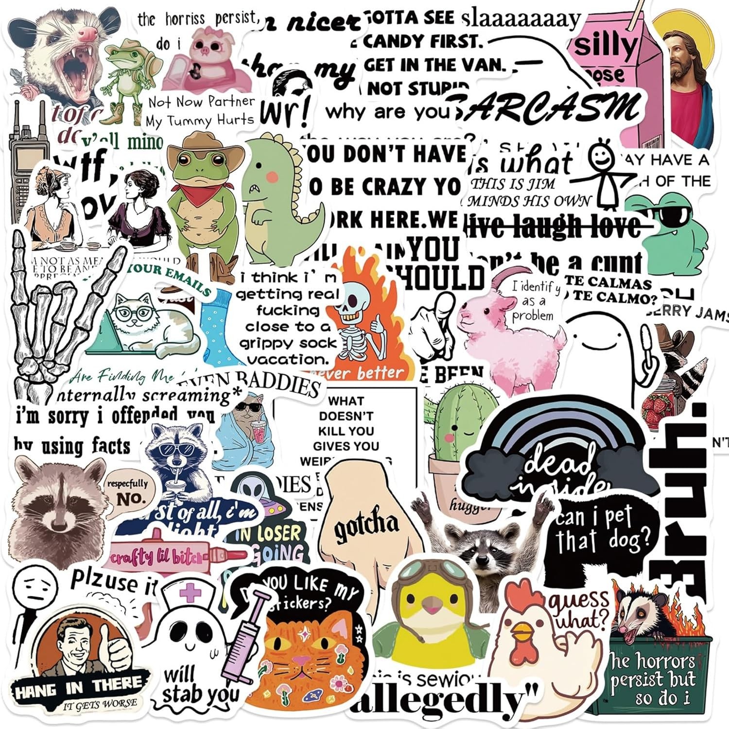 Adult Funny Meme Stickers Vinyl Stickers for Kids Teens Adults 50Pcs Set