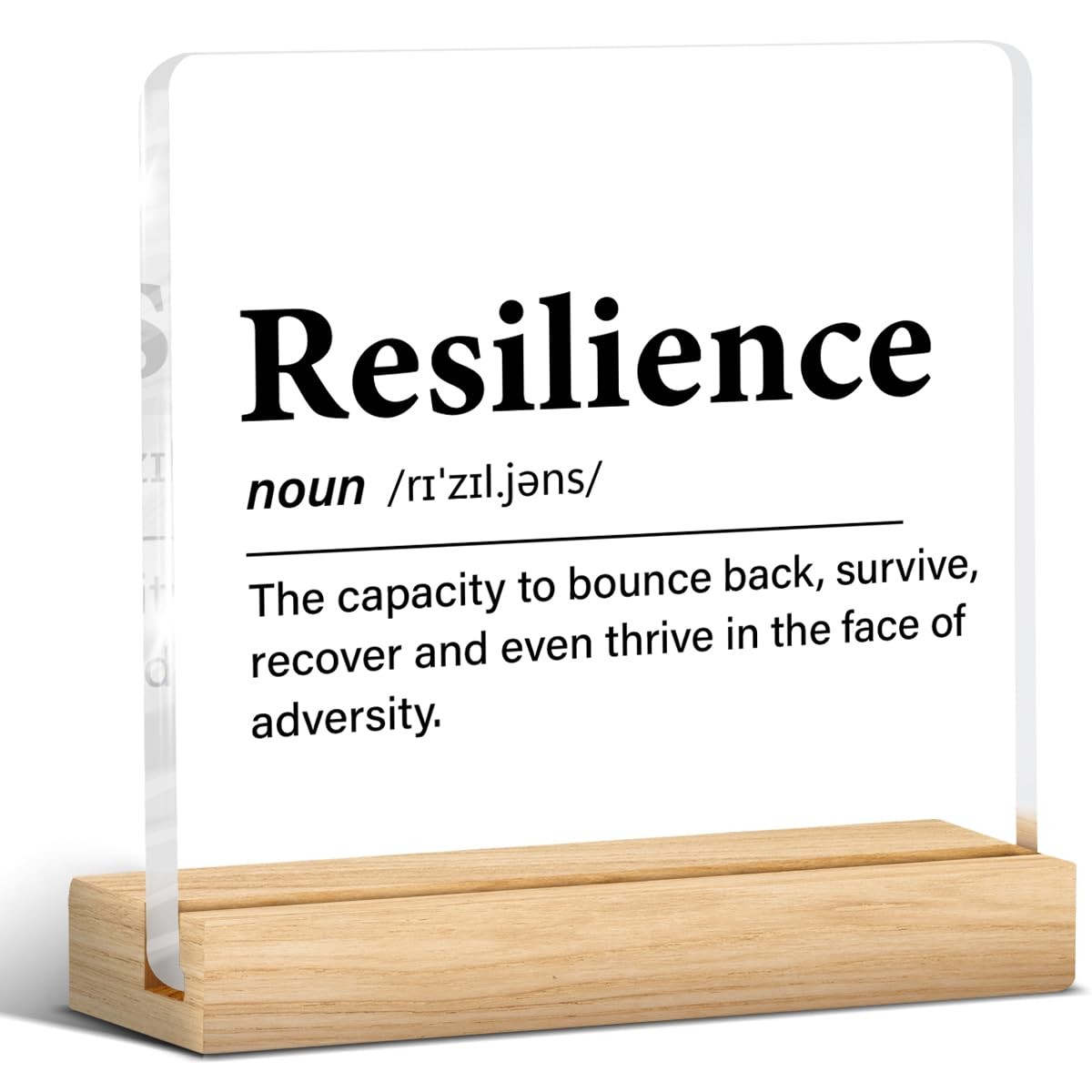 Inspirational Gifts For Women Men Resilience Quote Resilience Definition Clear A