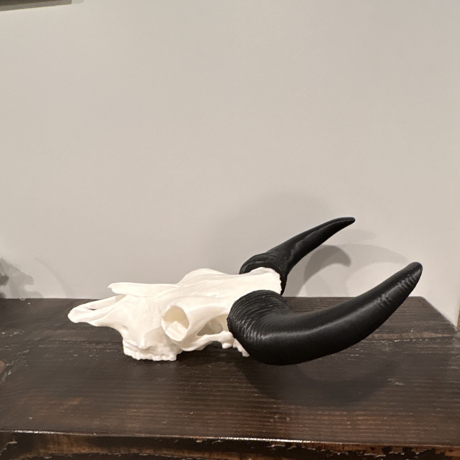 Bison Skull Wall Mounted Sculpture, Animal Decor 15 in 3d print