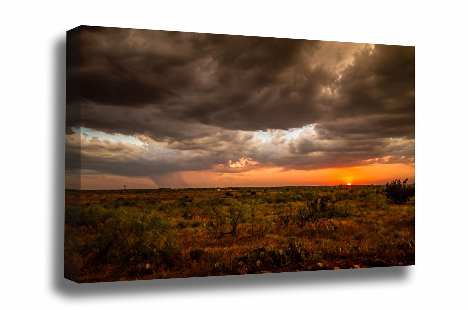 Canvas Wall Art Warm Sunset Over Cactus and Mesquite on Stormy Eve in West Texas