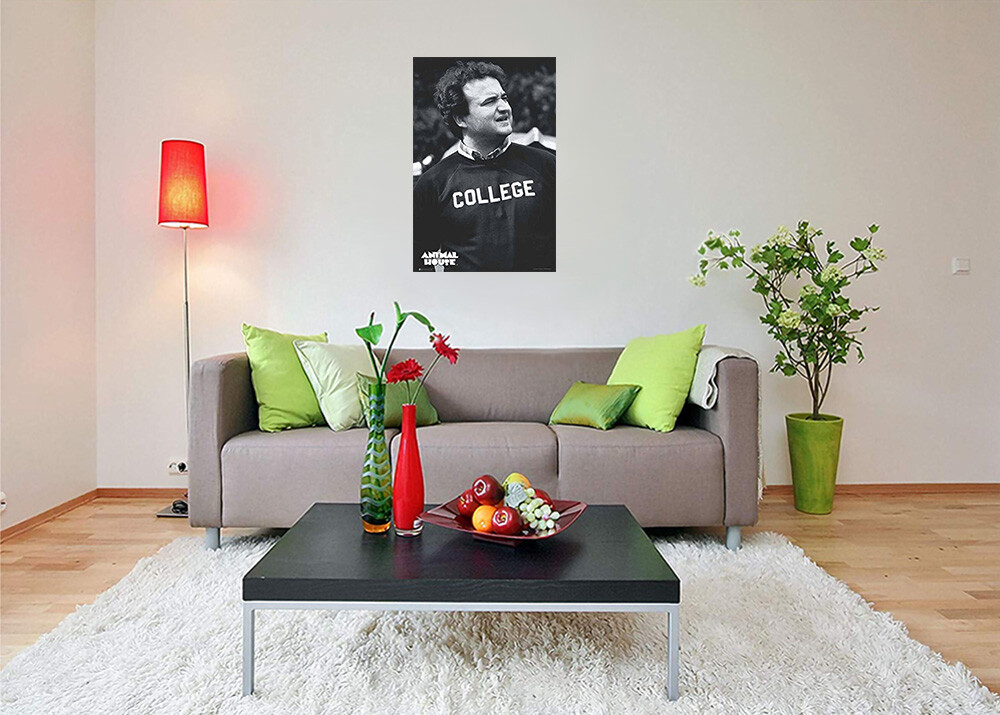 Animal House College John Belushi Poster – 24″ x 36″