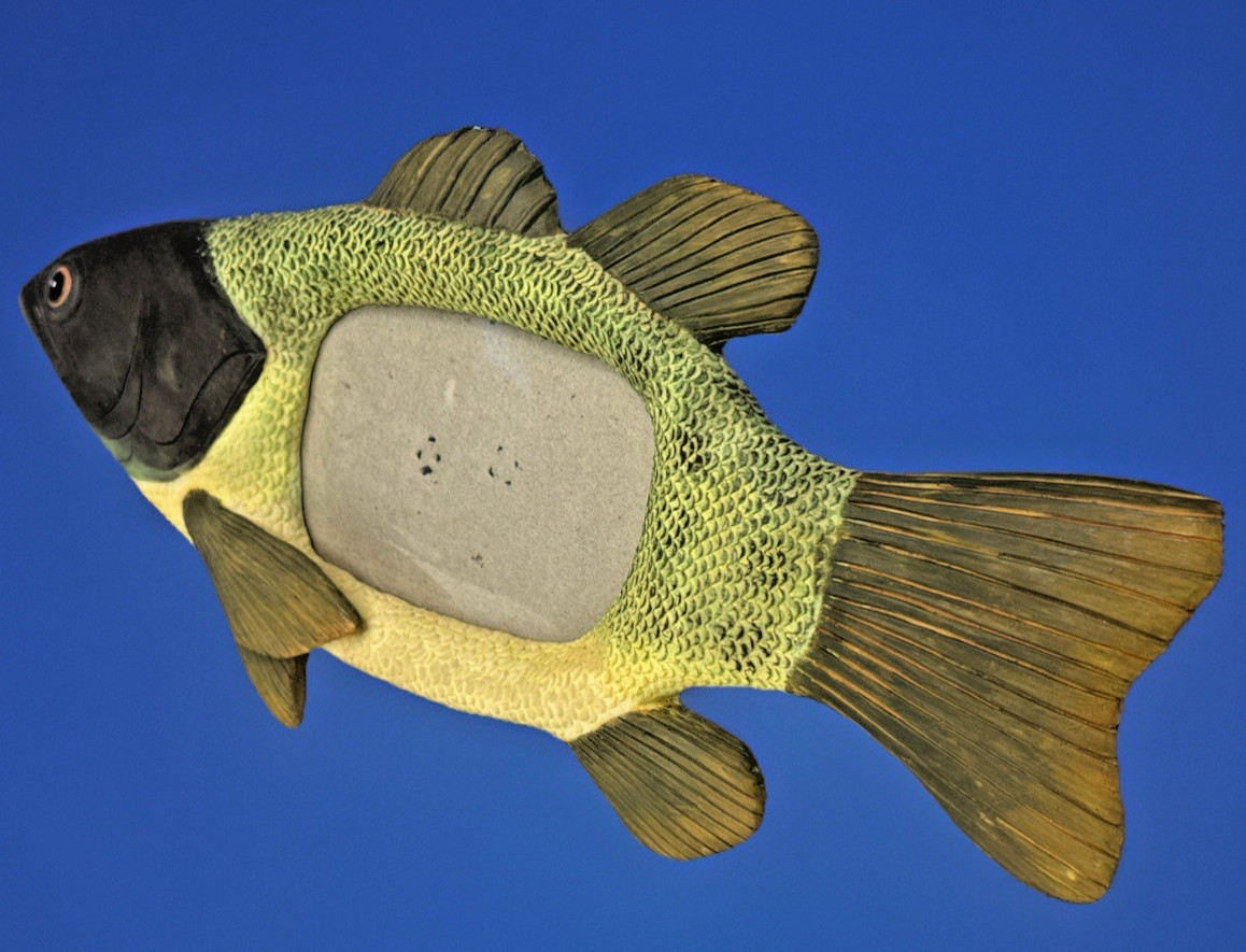 Decorative Textured Resin Fish Shaped Photo Picture Frame Cabin Fisherman