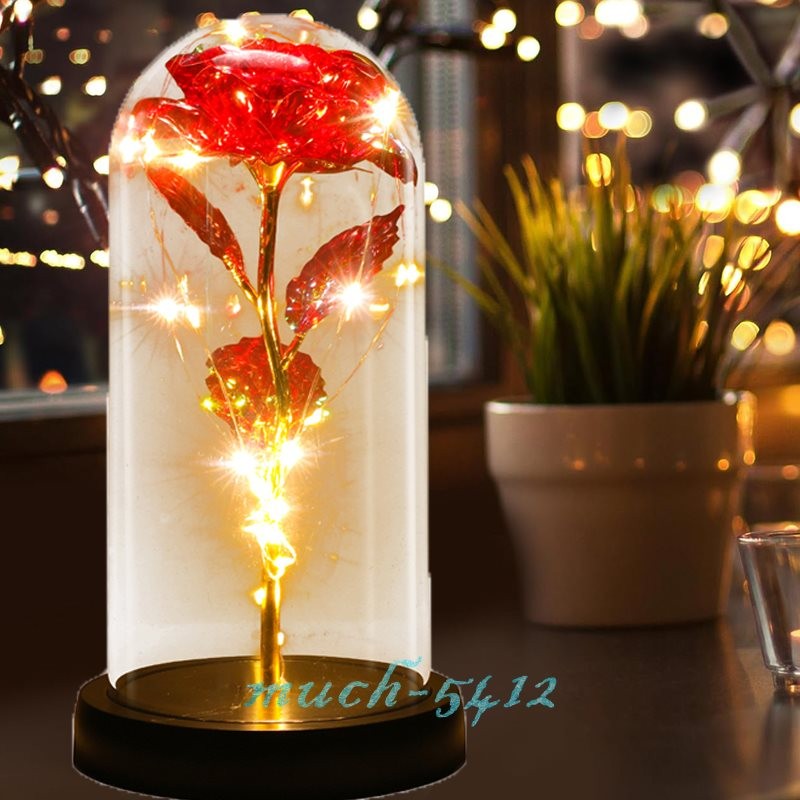 Rose Flower In Glass Gift For Women Wife Mom Girlfriend Birthday Valentines Gift