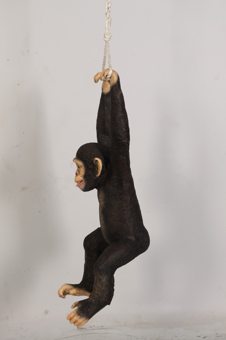 Realistic Chimpanzee Monkey Hanging From Rope With Two Hands Life Size Statue