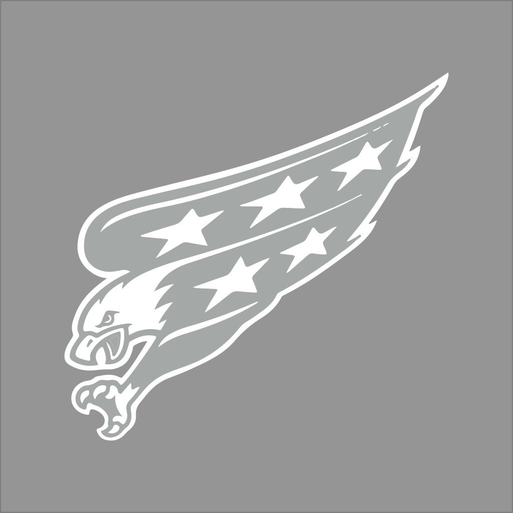 Washington Capitals #5 NHL Team Logo 1 Color Vinyl Decal Sticker Car Window Wall