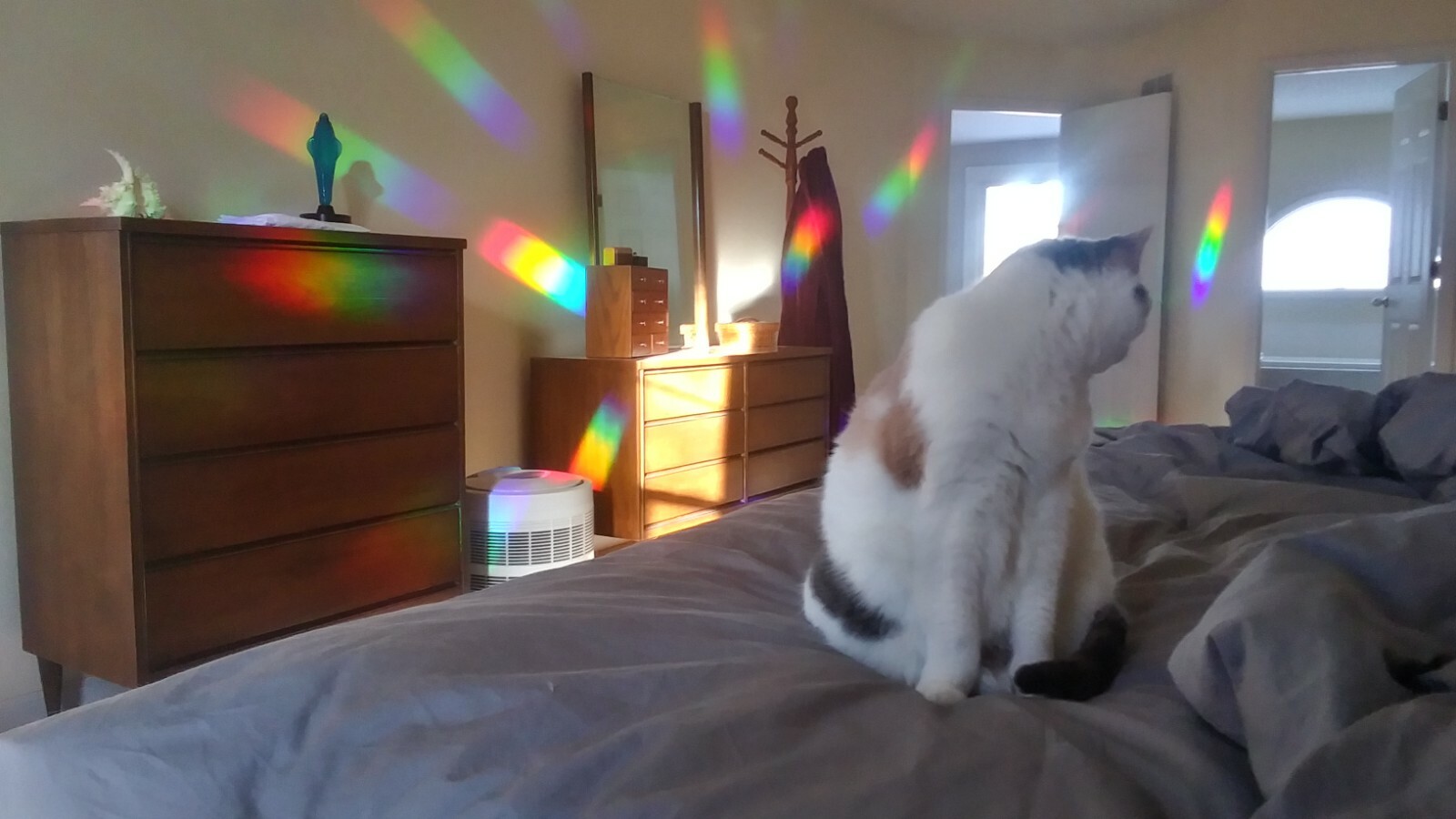 Diffraction Grating Film – Window Suncatcher and Rainbow Maker -18″ x 24″