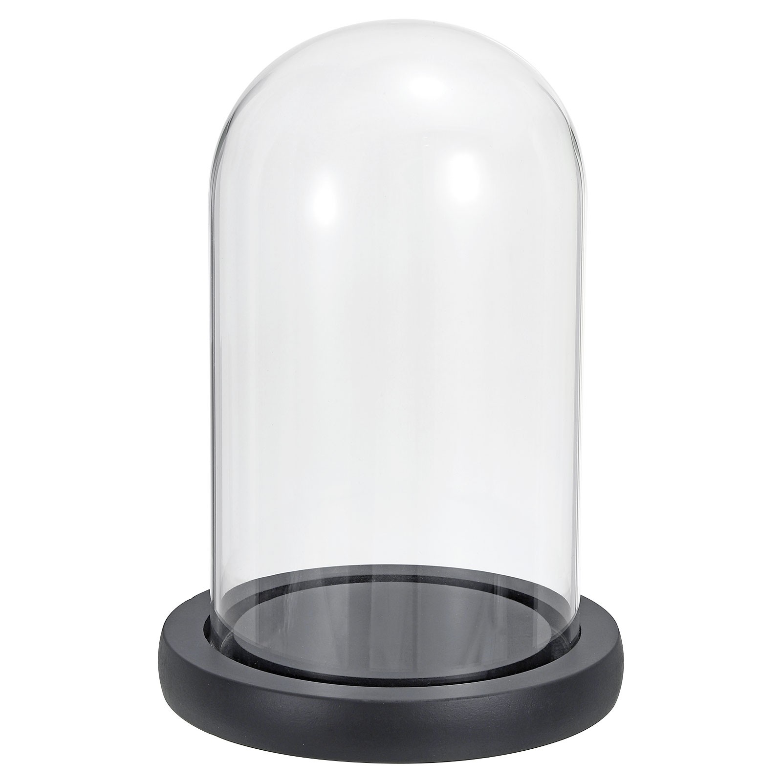 9.8″x3.9″ Clear Cloche Glass Dome Glass Bell Jar Display with Wooden Base