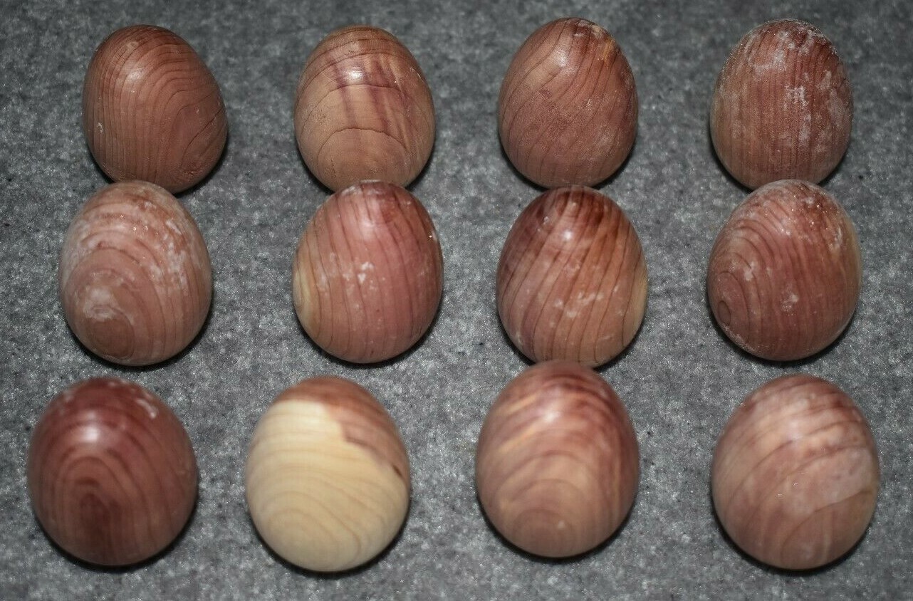 #244-12 TWELVE FRESH SCENTED WOOD CEDAR EGGS 2-1/8 INCHES LONG
