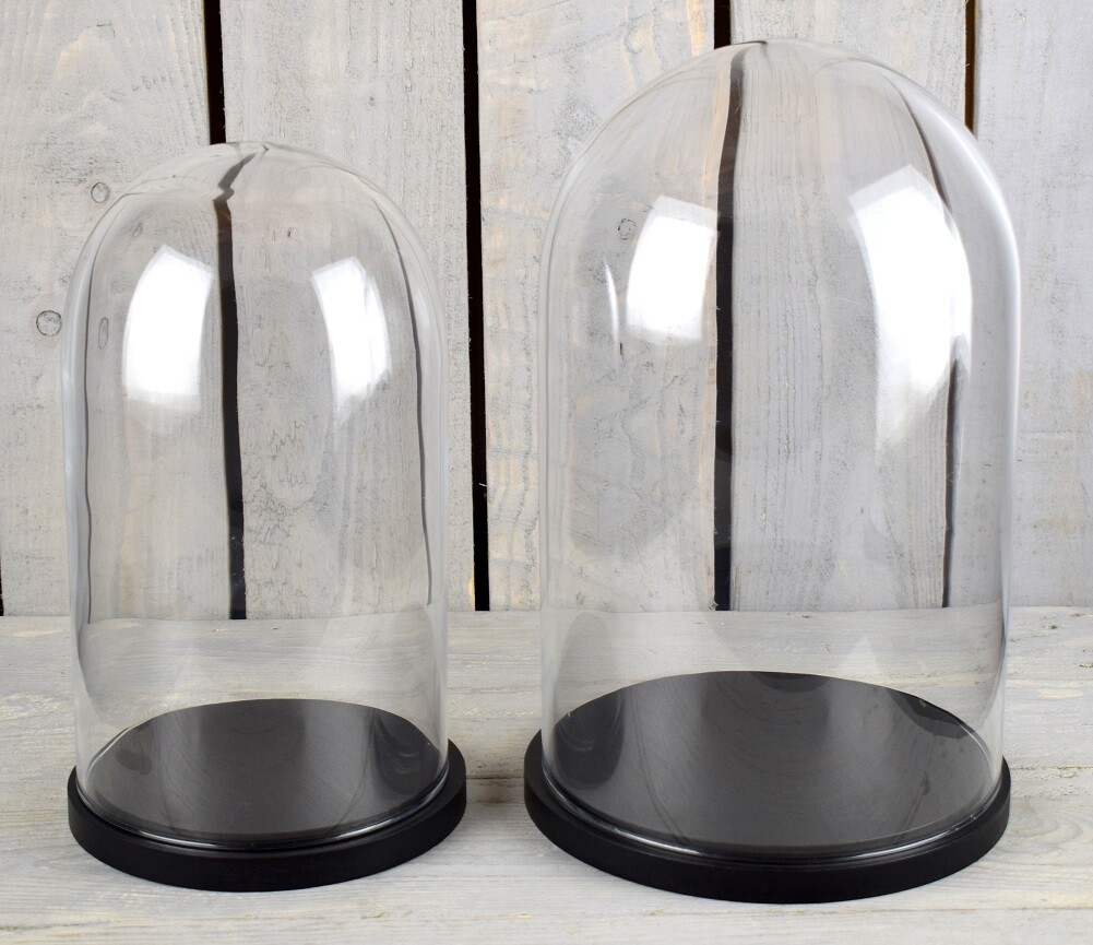 Medium Glass Dome Display Cover Cloche Black Base Height 30 x 20 cm