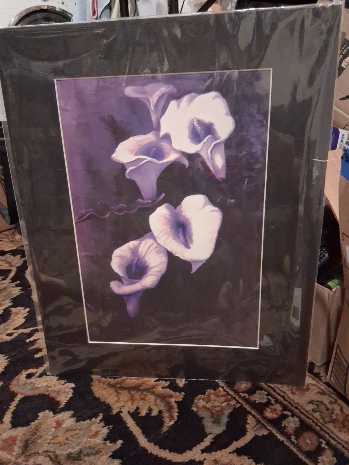 Lily Flower Picture Art Print Wall Art Poster Decor 20 × 16 Matted