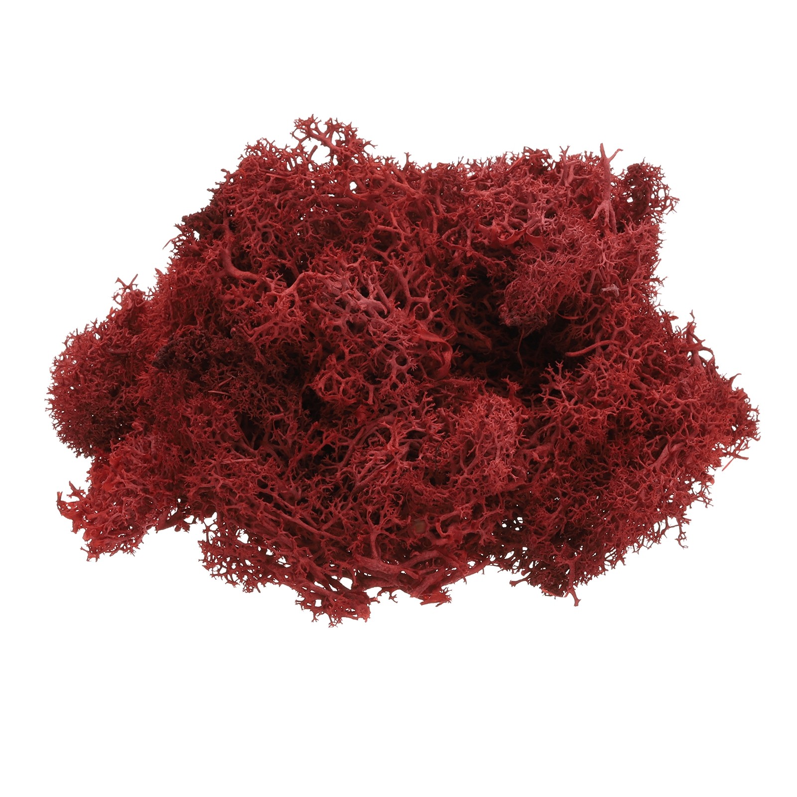 Preserved Reindeer Moss 4 OZ Fake Moss for Crafts Dark Red