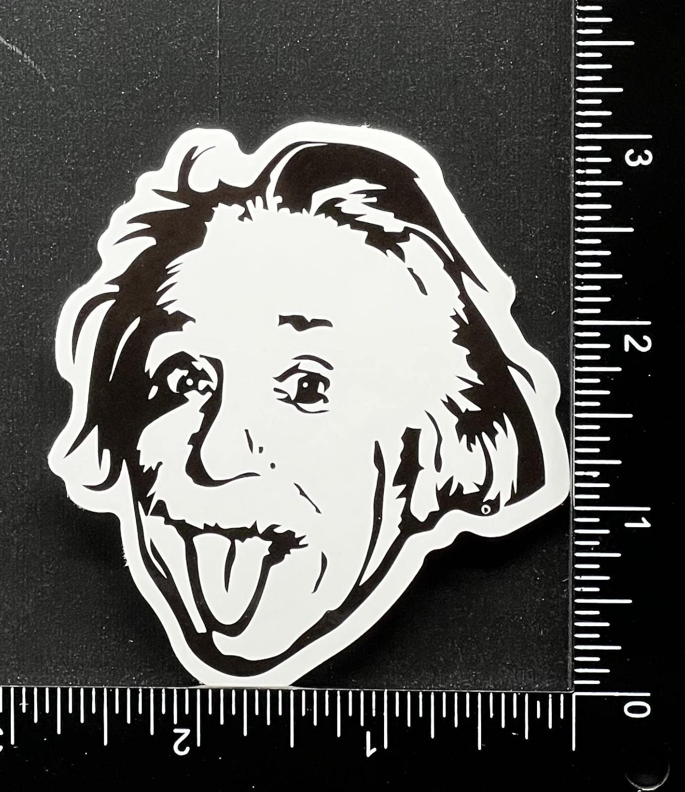 Albert Einstein Funny – Vinyl Sticker – Heavy Duty