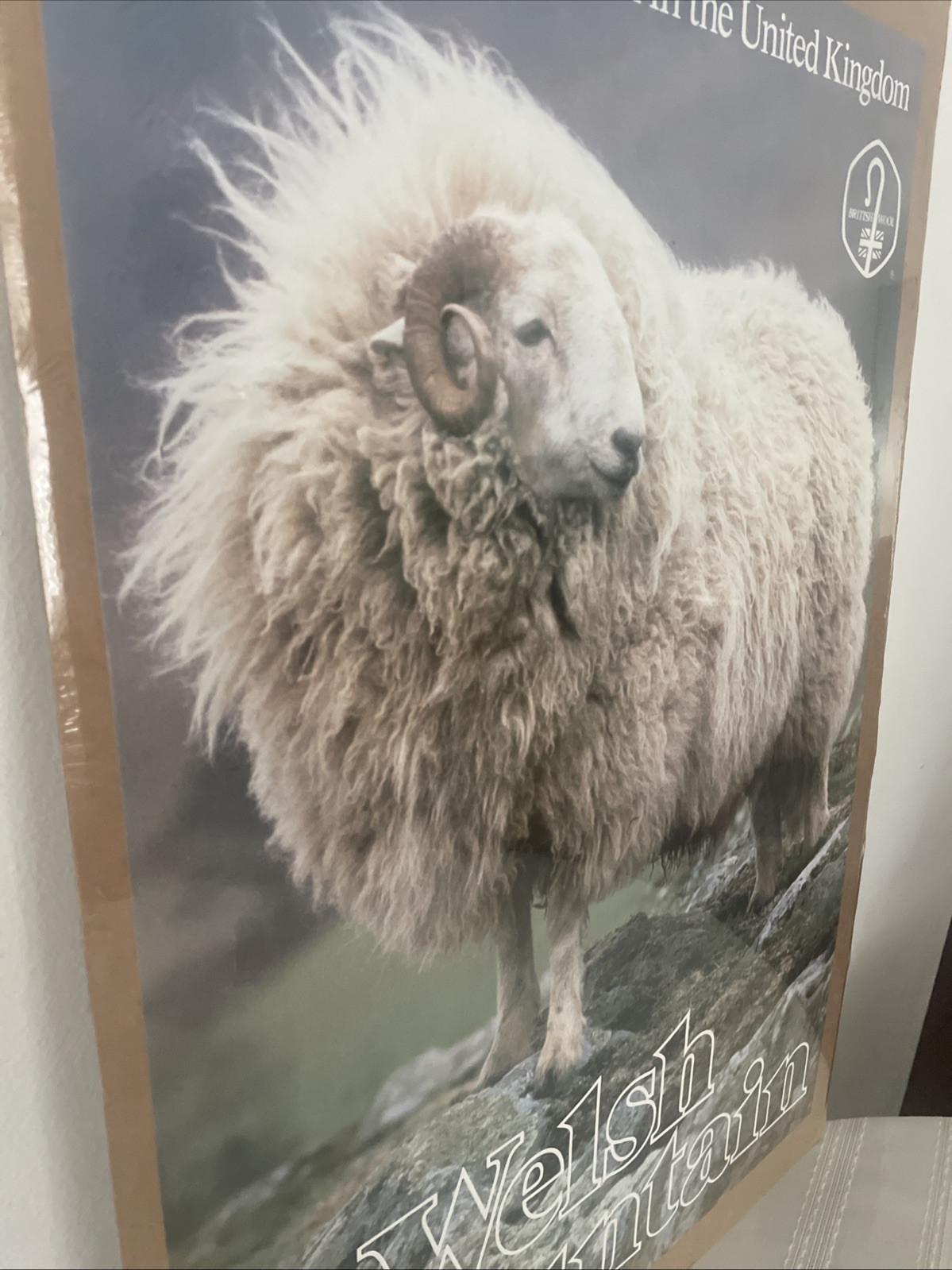 Vintage British Wool Board The Welsh mountain Poster Print