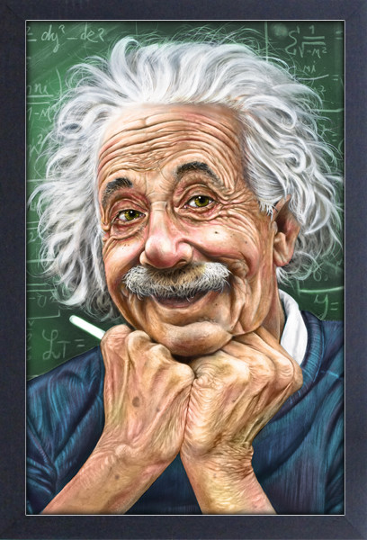 ALBERT EINSTEIN JAMES DANGER 13×19 FRAMED GELCOAT POSTER CHAOS THEORY GENIUS NEW