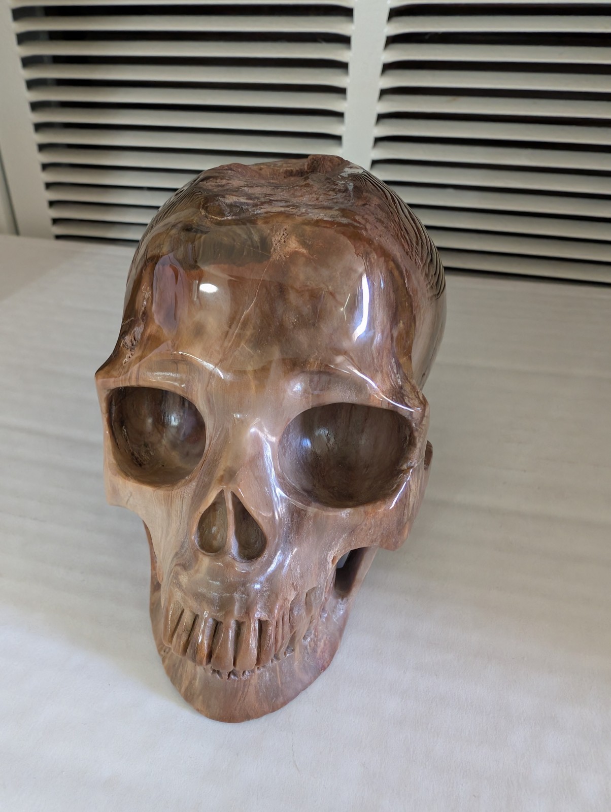 5.5″ Petrified Wood Hand Carved Crystal Skull, Realistic, Crystal Healing 2.6Lb