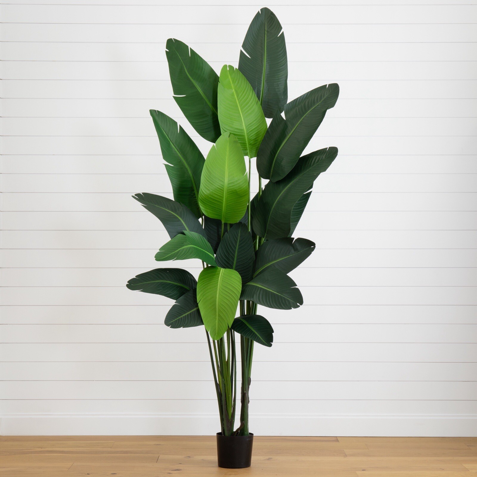8’ Artificial Travelers Palm Tree Home Office Decor (Real Touch). Retail $459