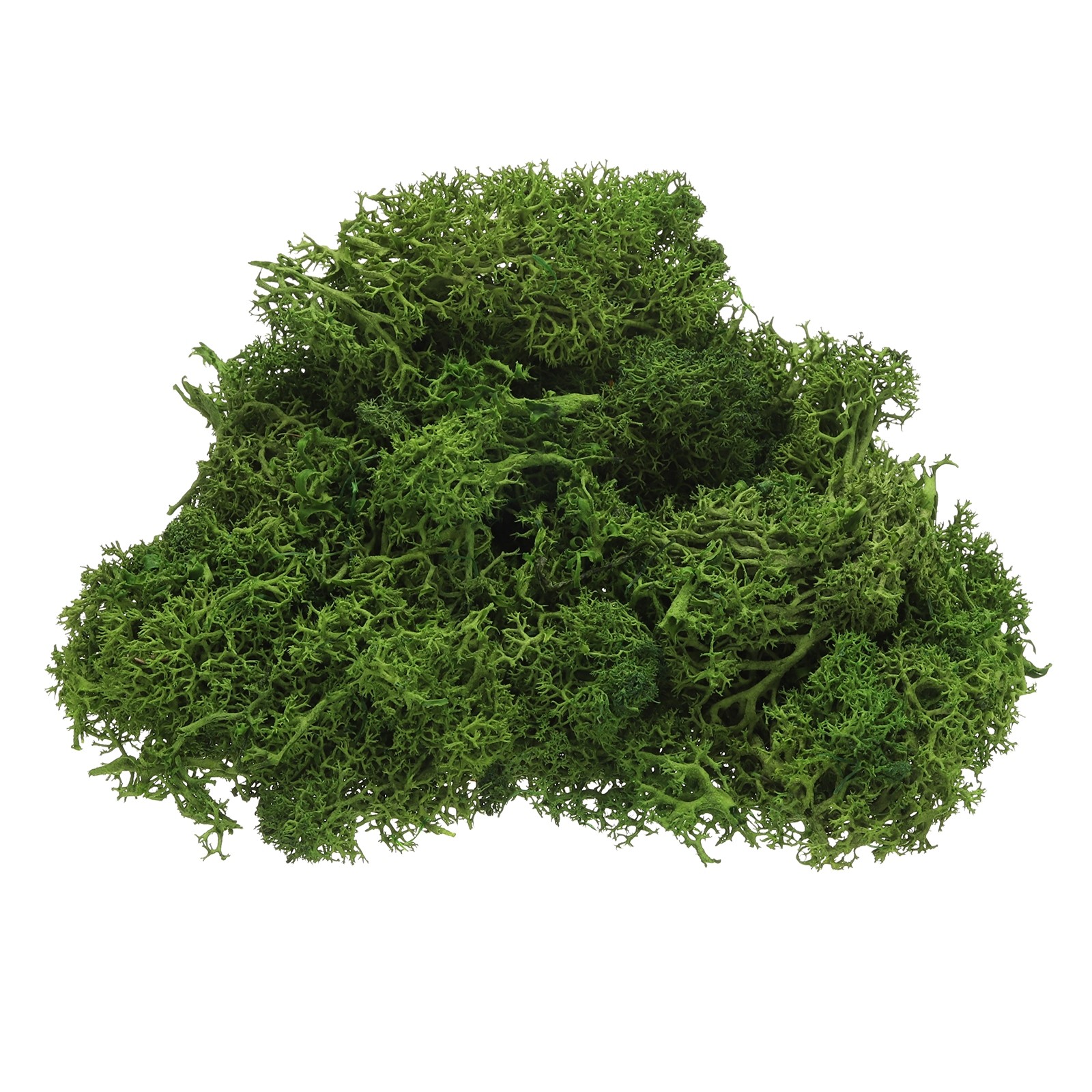 Preserved Reindeer Moss 4 OZ Fake Moss for Crafts Green