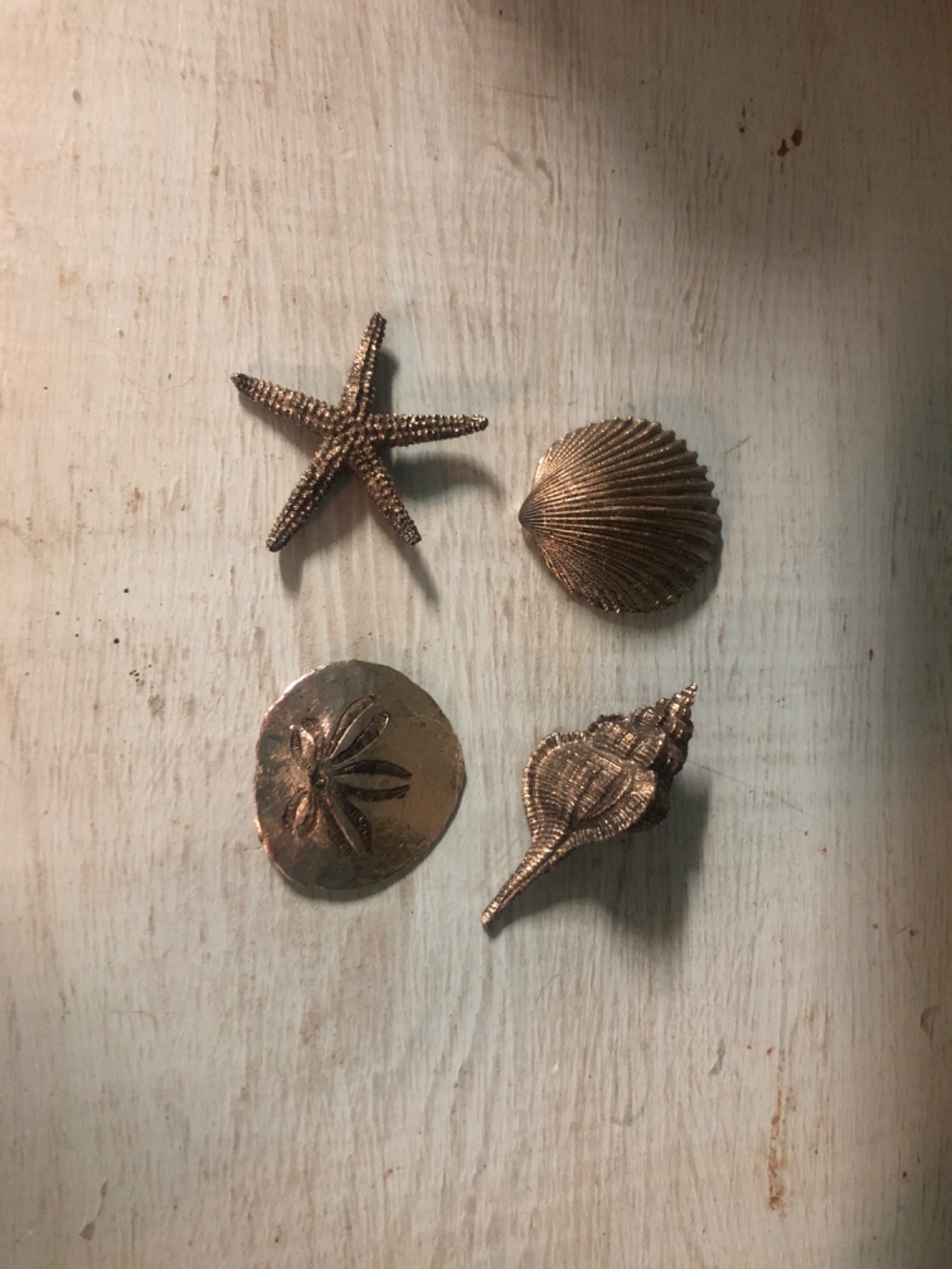 Pottery Barn Vintage Silver Beach Comer’s Magnet Set Decor Sea Life Vase Filler