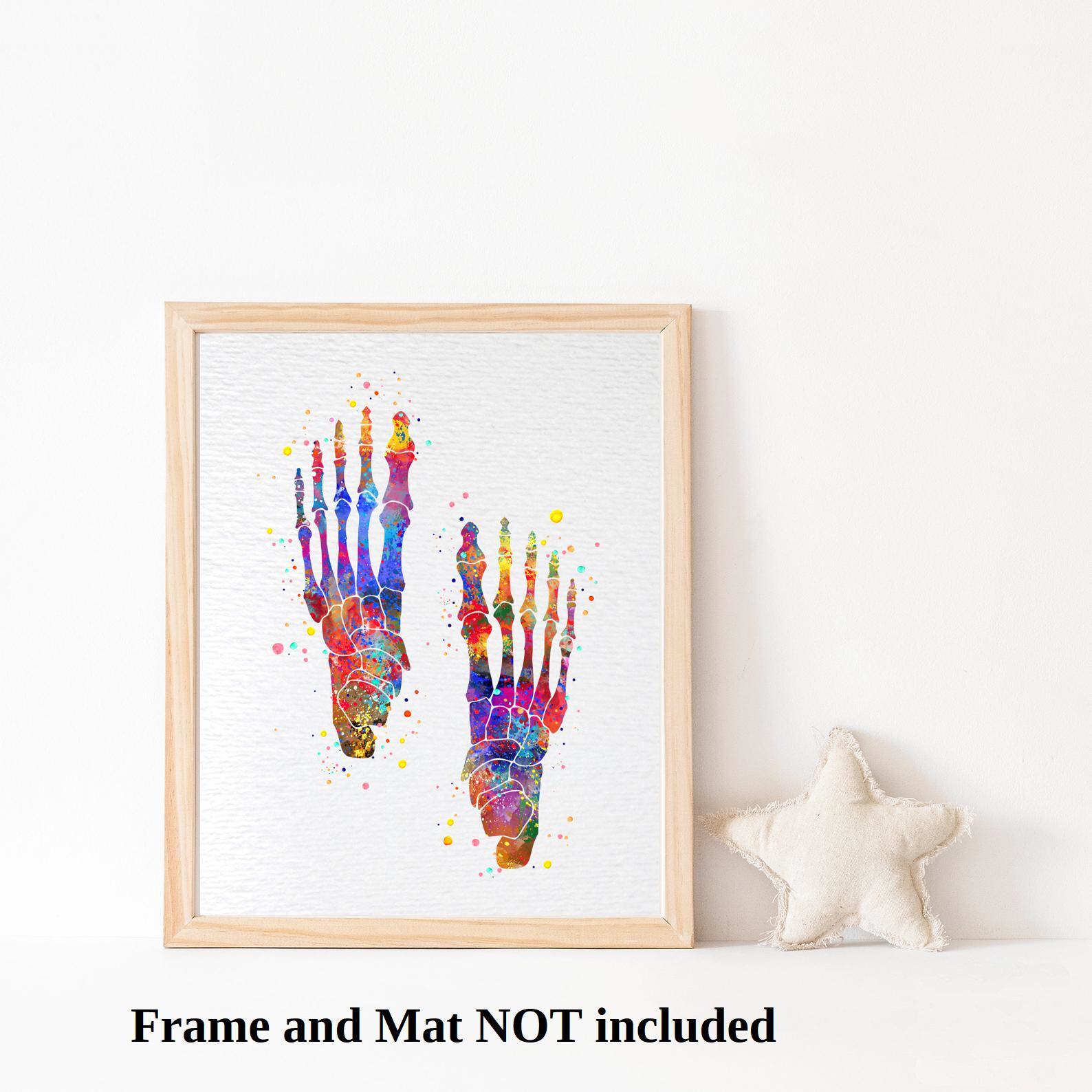 Dignovel Studios Foot Bone Human Anatomy Medical Science Watercolor Art Print