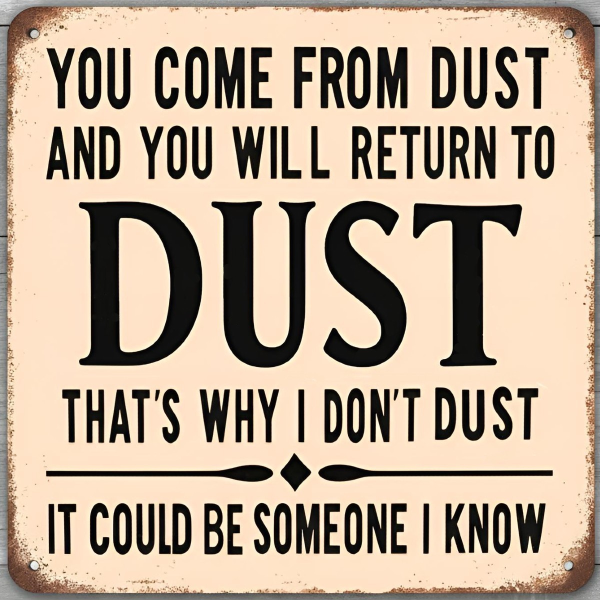 That’s Why I Don’t Dust Humor 12 x 12 Square Vintage Novelty Metal Sign USA Made