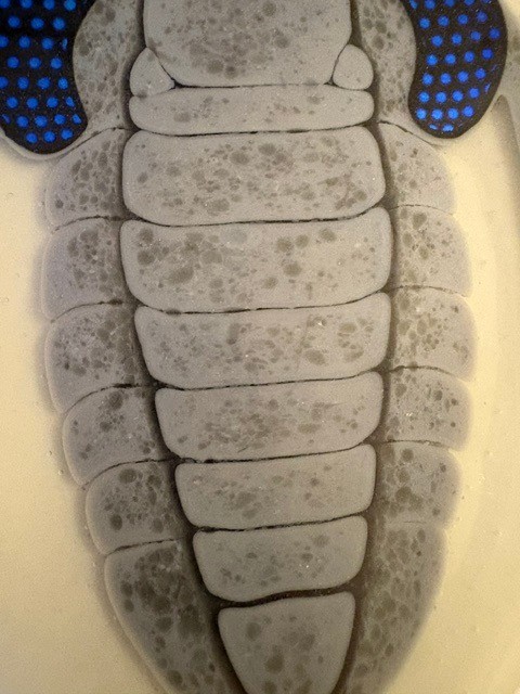 Handmade 8″ glass dish with trilobite on front signed by Jane Hartman on back