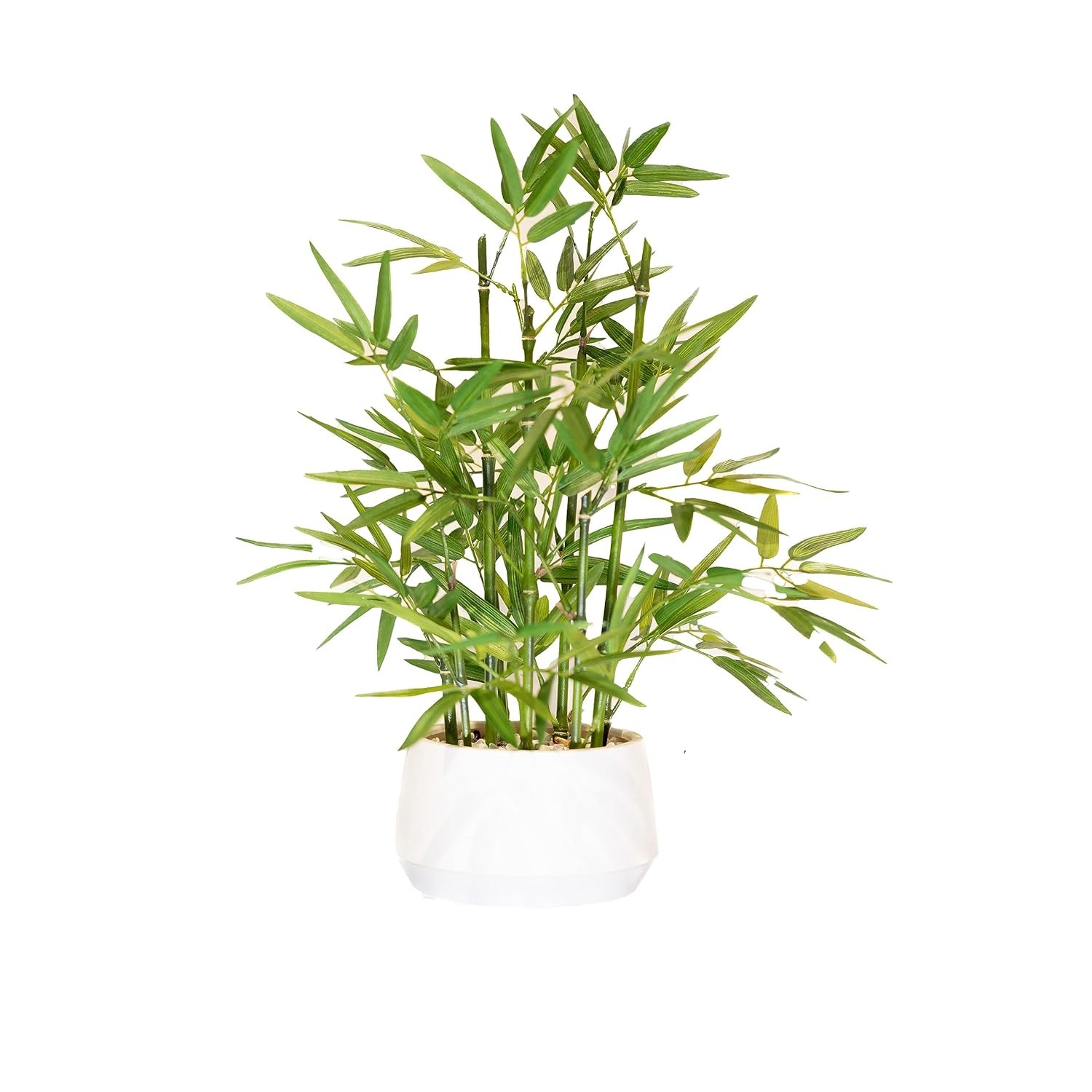 Artificial Bamboo Plant 18 inch Tall White Potted Luxury Indoor Decor