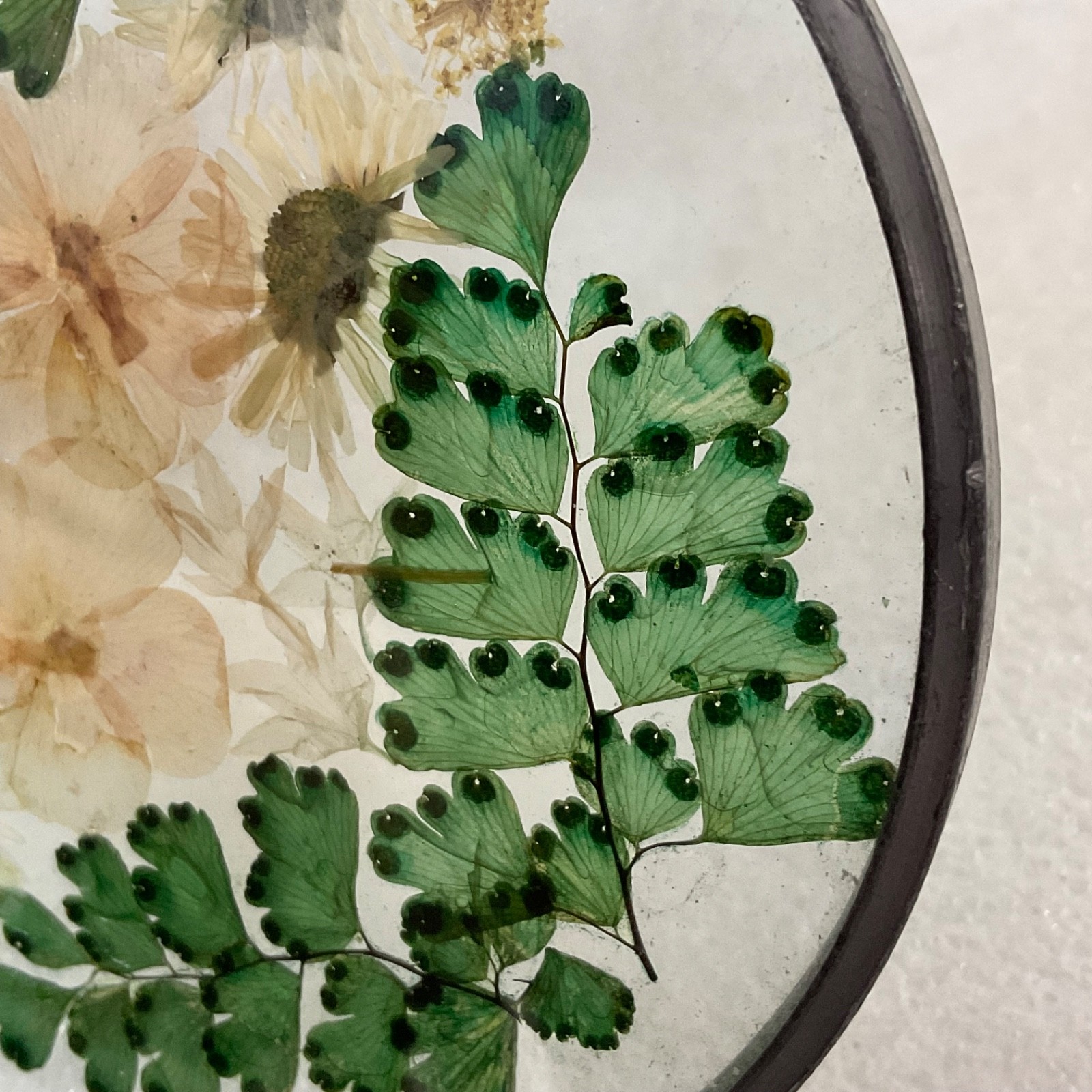 Pressed Flower Glass Suncatcher 4in Round Hanging Botanical Decor
