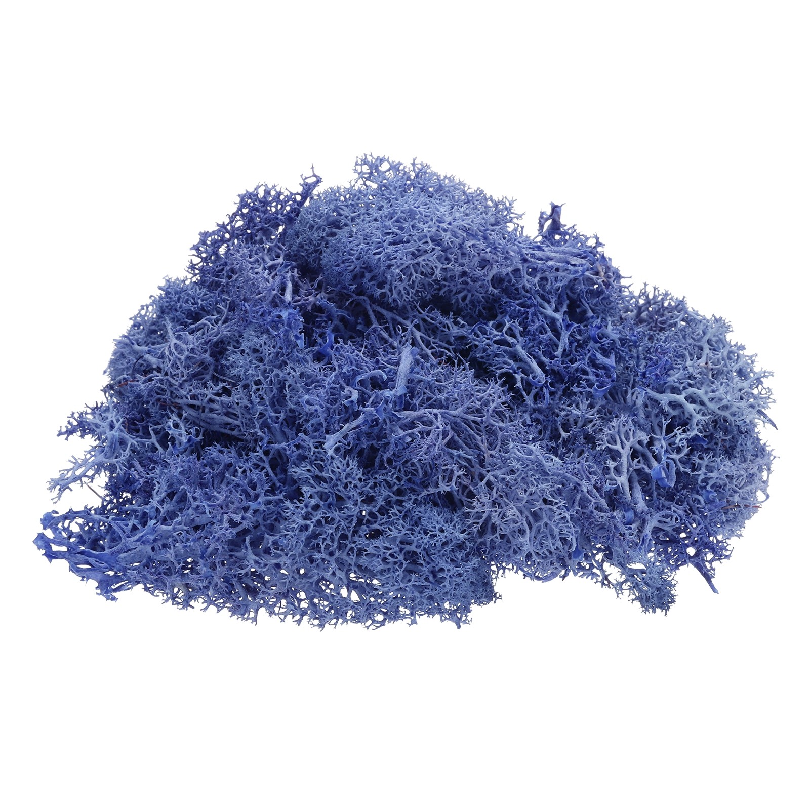 Preserved Reindeer Moss, 4 OZ Fake Moss for Crafts (Purple)