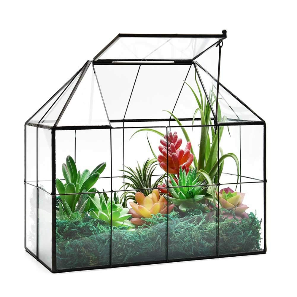 Glass Terrarium Planter for Succulents – 9.8″ x 7.9″ x 5.9″ Greenhouse with Lid