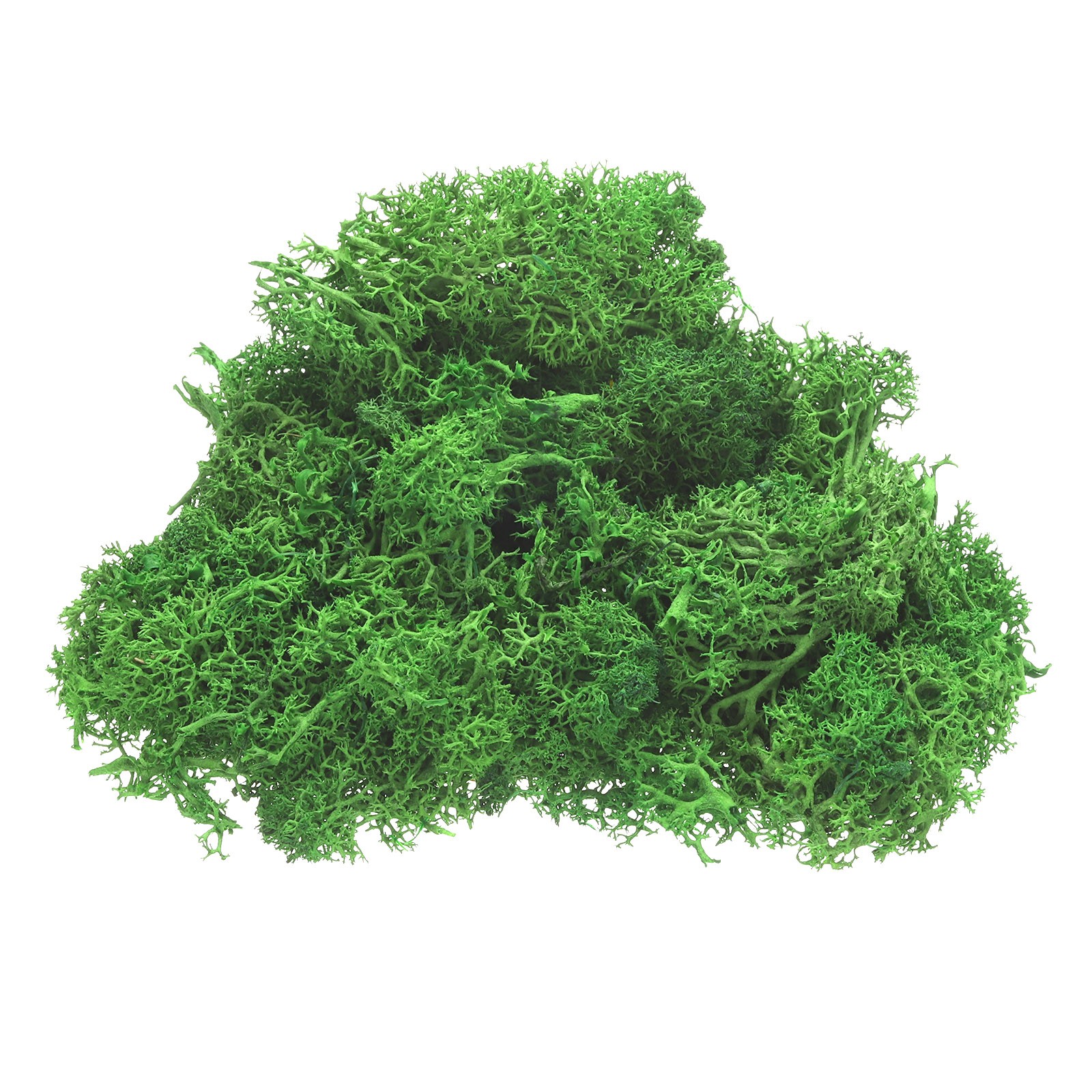 1 Pack Preserved Reindeer Moss 4 OZ Fake Moss for Crafts Green