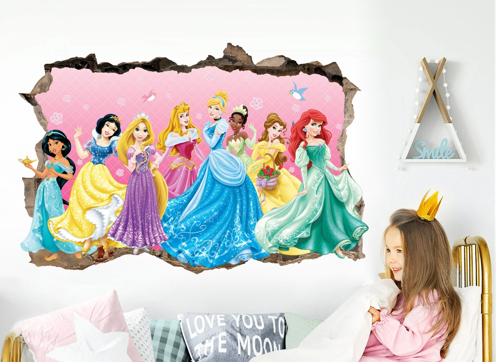 Princess Characters Smashed Wall Decal Sticker Mural Poster Girls Room Decor