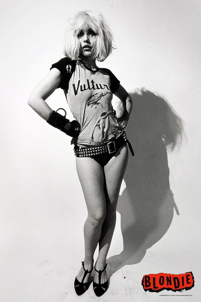 Blondie Poster Vultures Punk Rock Debbie Harry Cool Wall Art Print Poster 24×36
