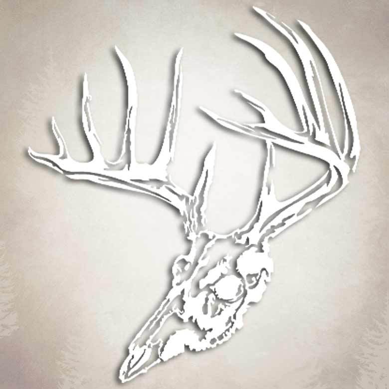 Whitetail Deer Timber Skull Sticker Archery Hunting Decal for Mathews Hoyt PSE