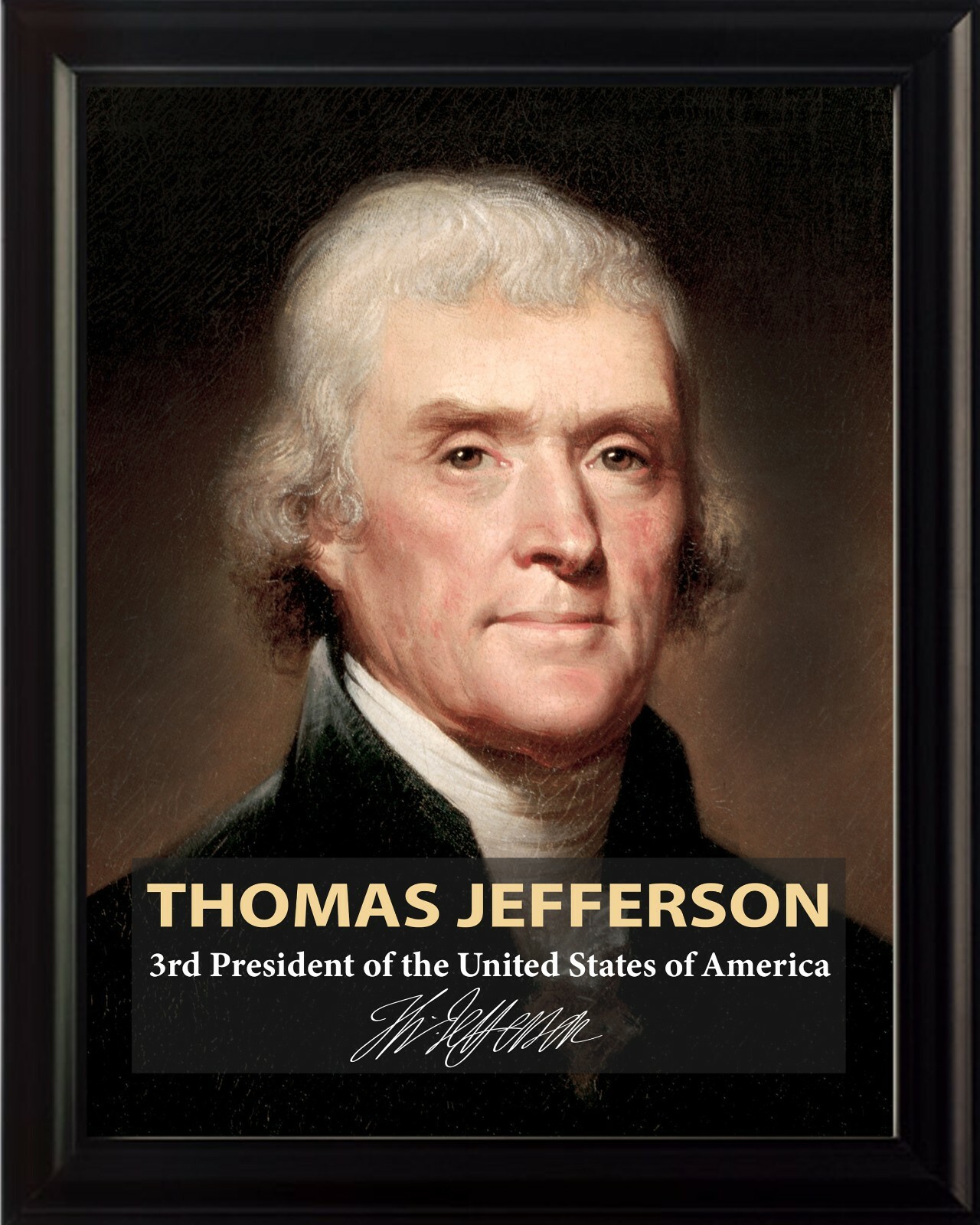 Thomas Jefferson 3rd President Poster Picture or Framed Wall Art