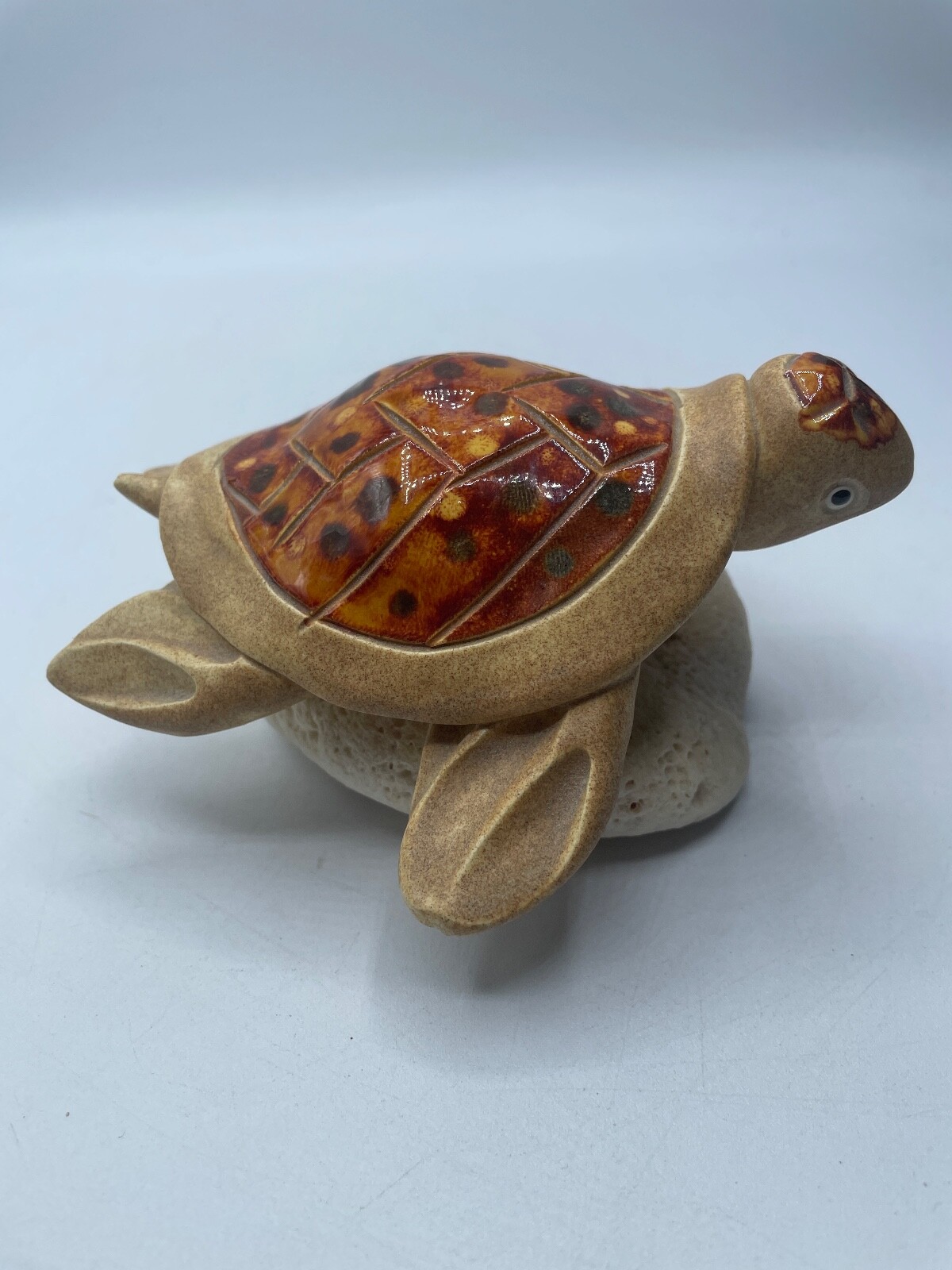 Handmade Turtle Glazed Shell on Coral Multicolor Ocean Beach Decor