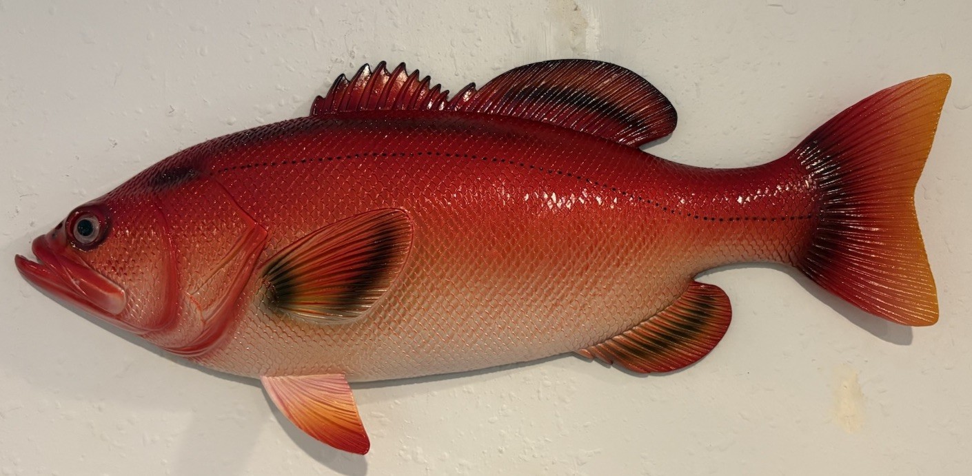 Red Snapper, 18” Wall Decor. Hand painted. Nautical Beach Decor. Fishing Decor.