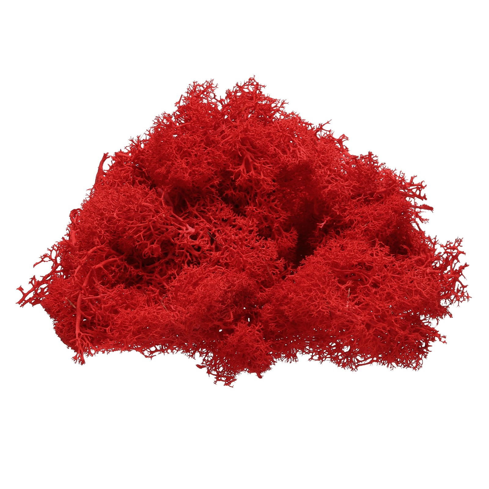 Preserved Reindeer Moss, 4 OZ Fake Moss for Crafts (Red)