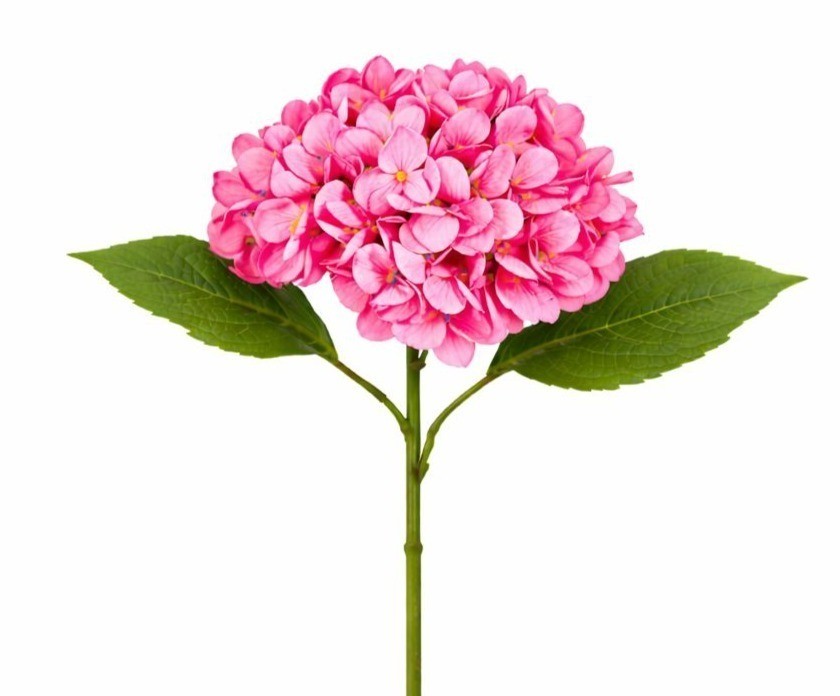 Pink Hydrangea Stem Faux Flower 16 Inch Artificial Hydrangea Bloom 6 Inch Floral