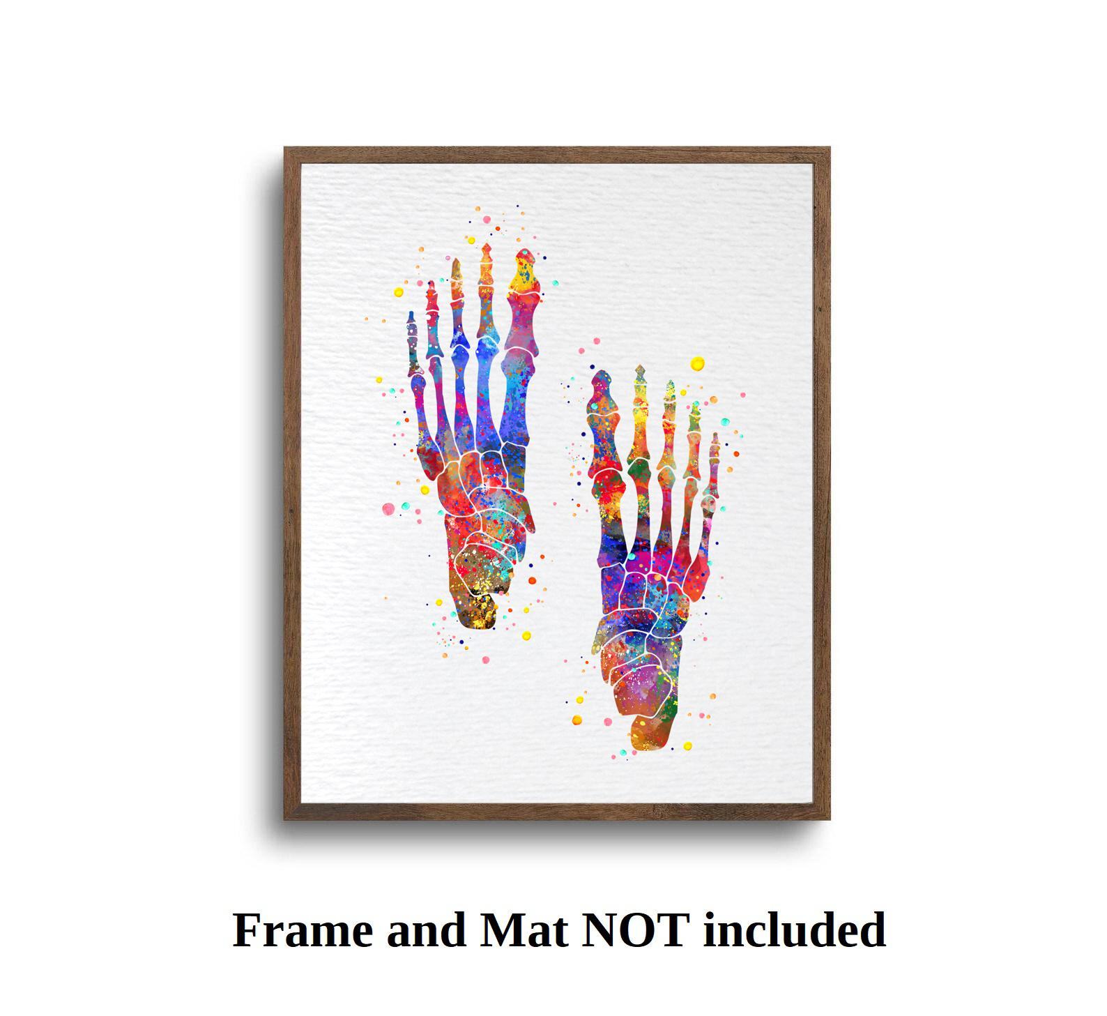 Dignovel Studios Foot Bone Human Anatomy Medical Science Watercolor Art Print