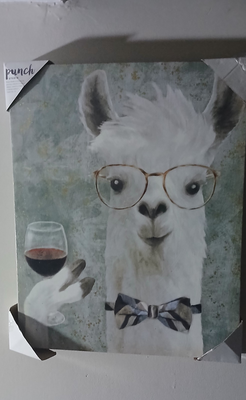 Alpaca Llama Canvas Picture