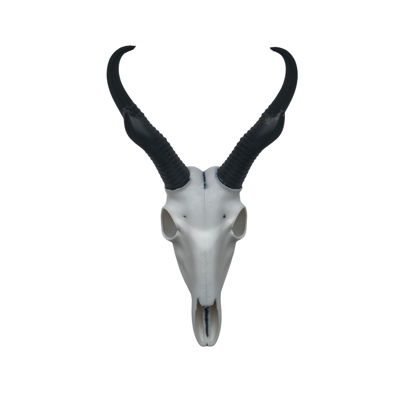 3D Printed Pronghorn Antelope Skull Replica Faux Taxidermy White Black 7.5 Inch