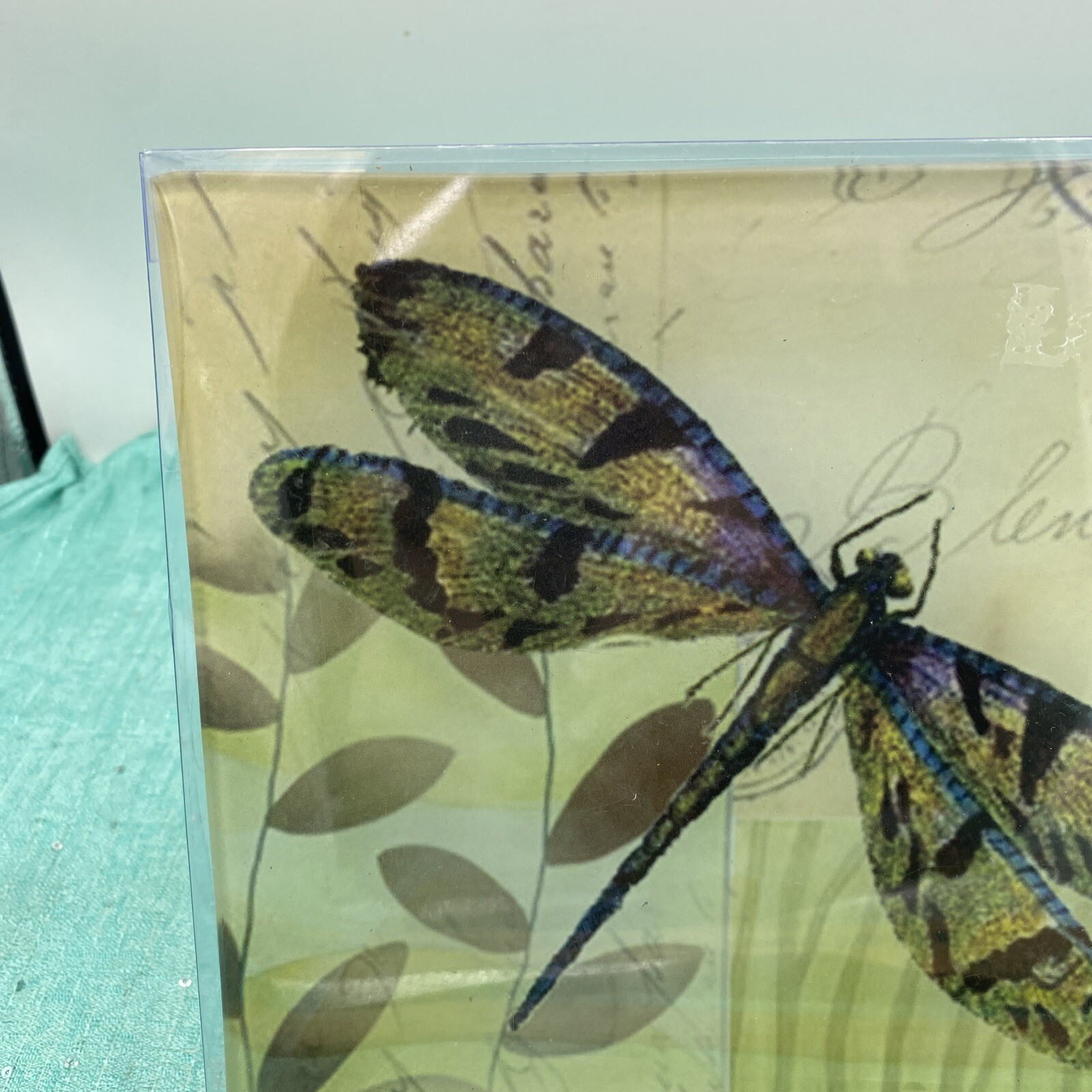 7.75” Square Pale Green Dragonfly Collector Glass Plate New In Box