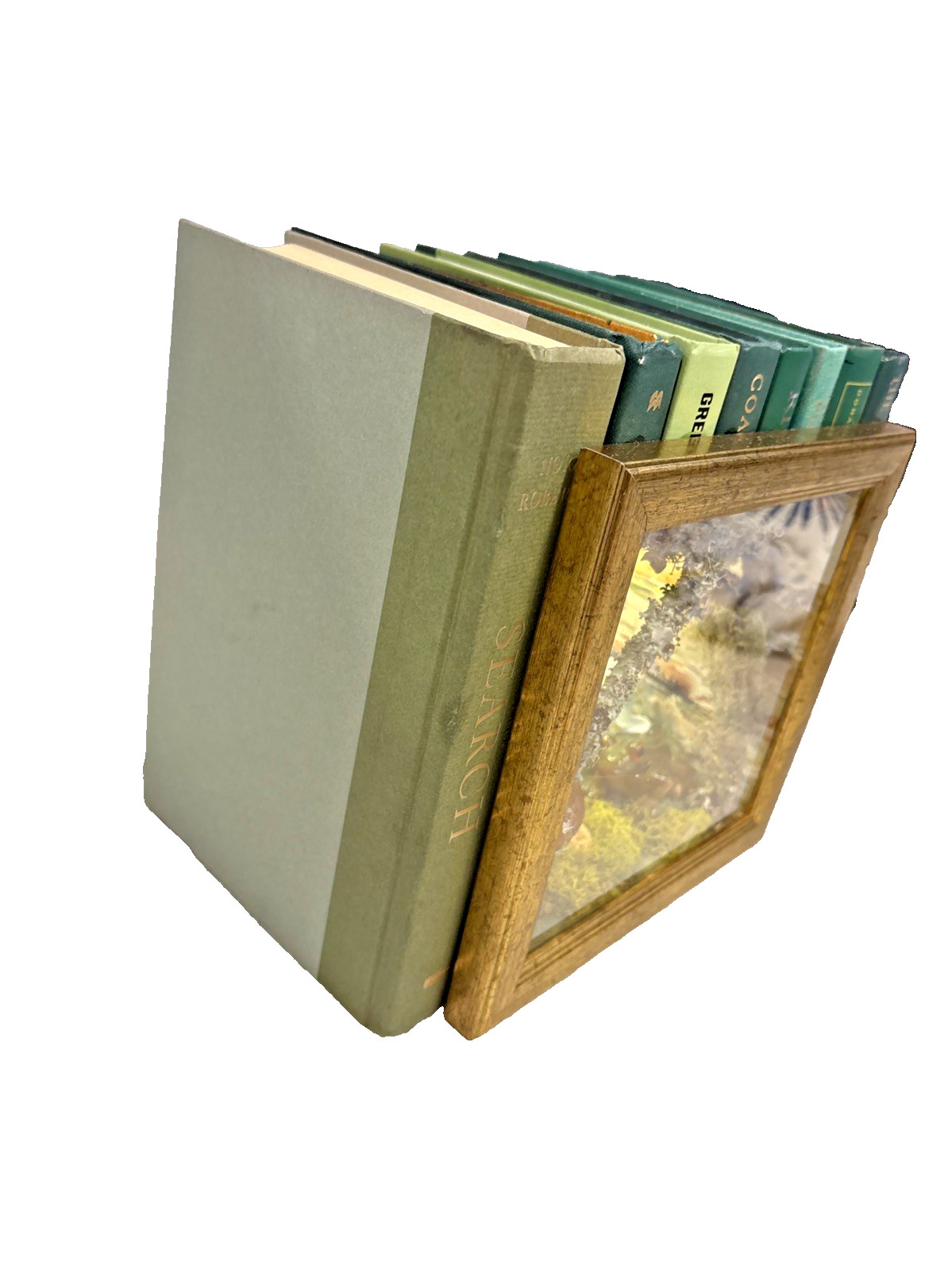 7 GREEN DECORATIVE BOOKS & A FOREST SCENE IN HANDMADE BOOK NOOK DEER FROG MOSS
