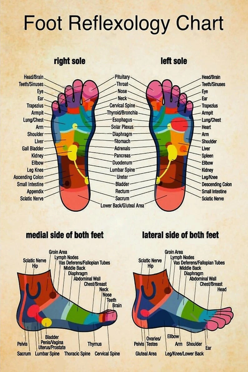 Reflexology Foot Massage Chart – Vintage-Style Unframed Poster for Spa & Therapy