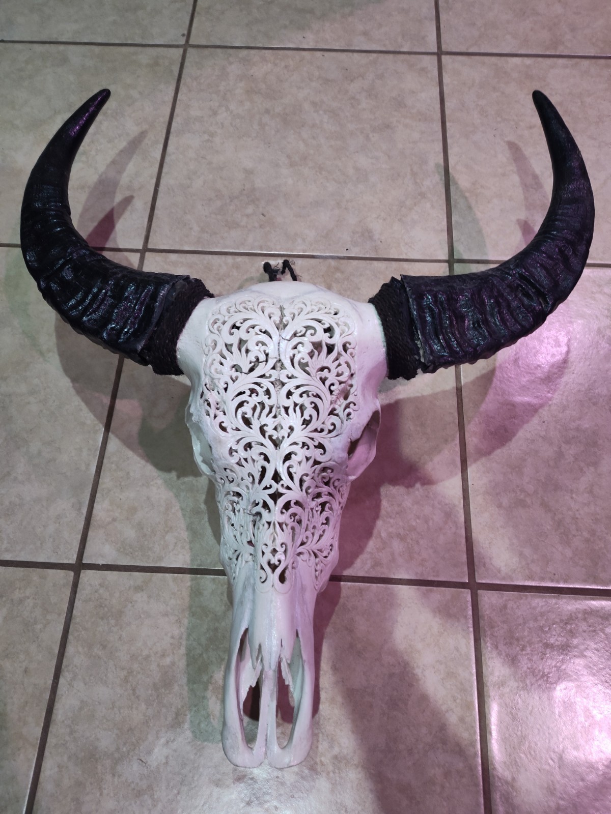White Bovine Skull Wall Decor w/ Black Horns, Carved Filigree Cutout Design