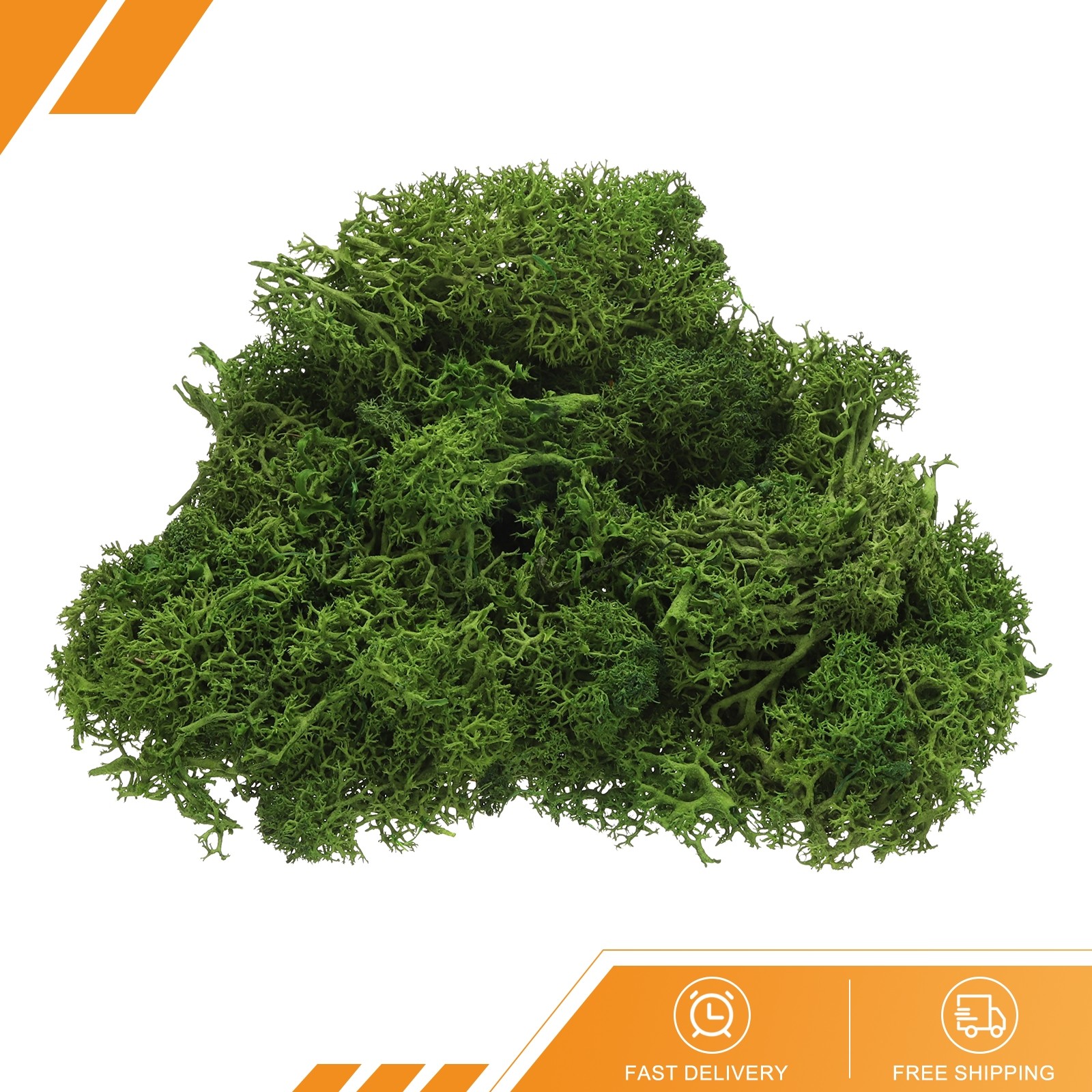 Preserved Reindeer Moss 4oz Fake Moss for Crafts Green