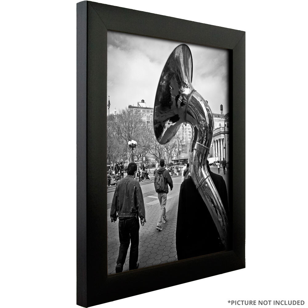 Craig Frames 1″ Wide Modern Satin Black Picture Frames, Uncommon Sizes 4×9-17×33