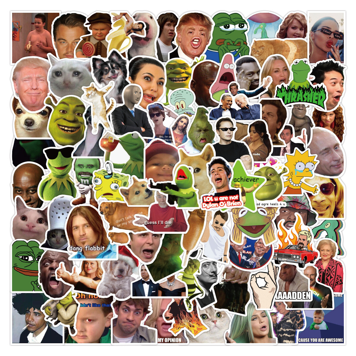 100Pcs Funny Meme Sticker for Adults Teens Girls Scrapbooking Water Bottles