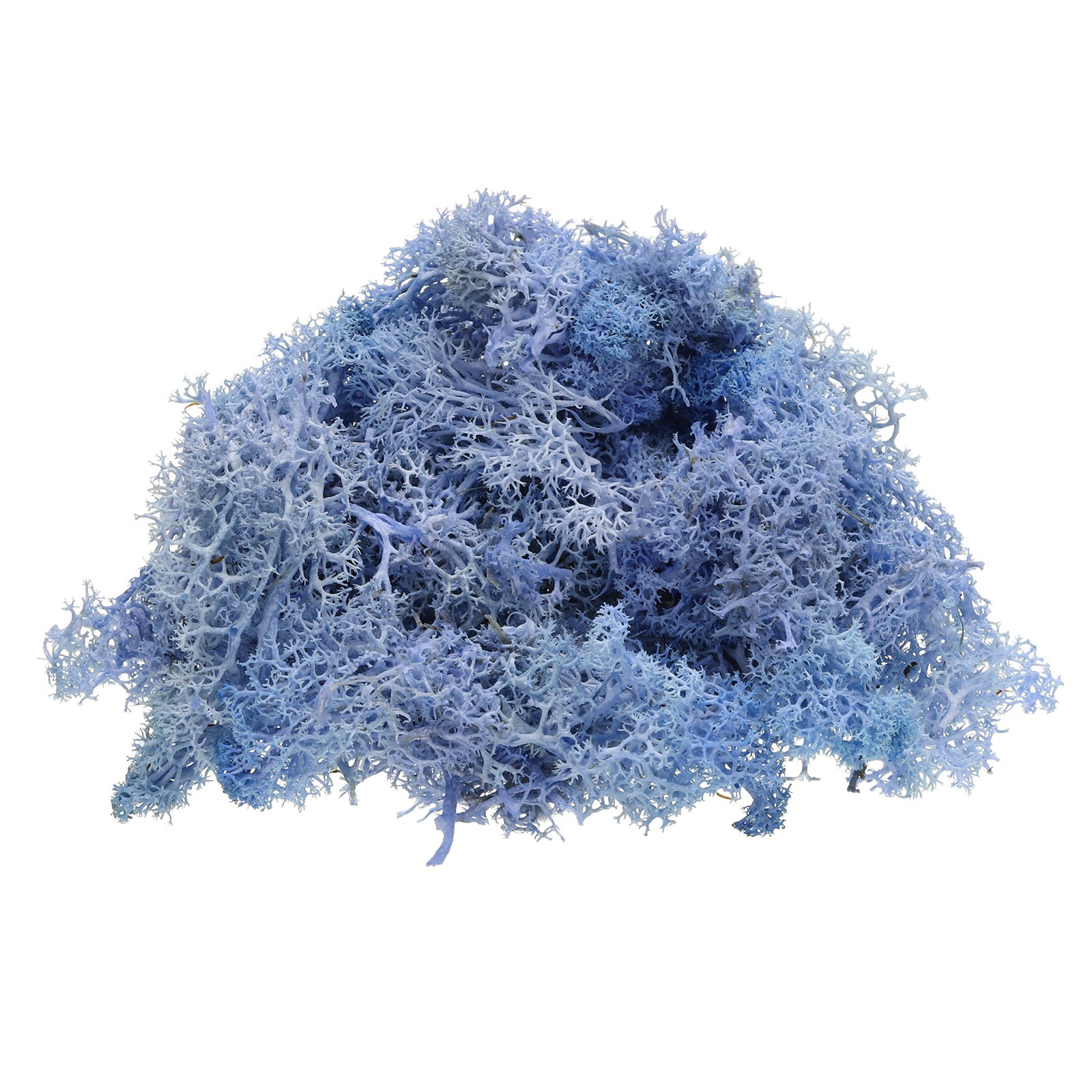 Preserved Reindeer Moss 4 OZ Fake Moss for Crafts Sky Blue,1pcs